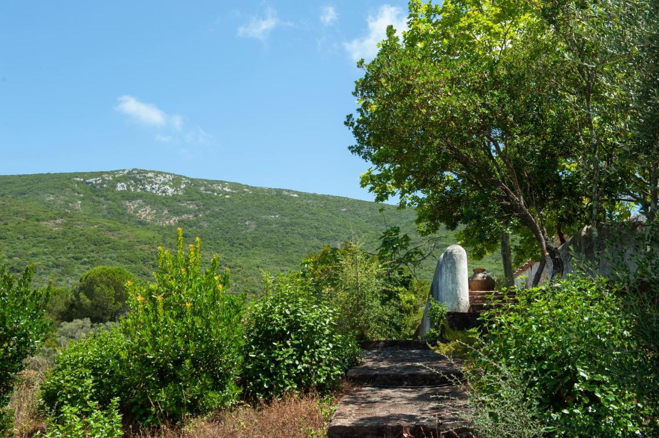 Quinta Da Arrabida Villa Sesimbra Dış mekan fotoğraf