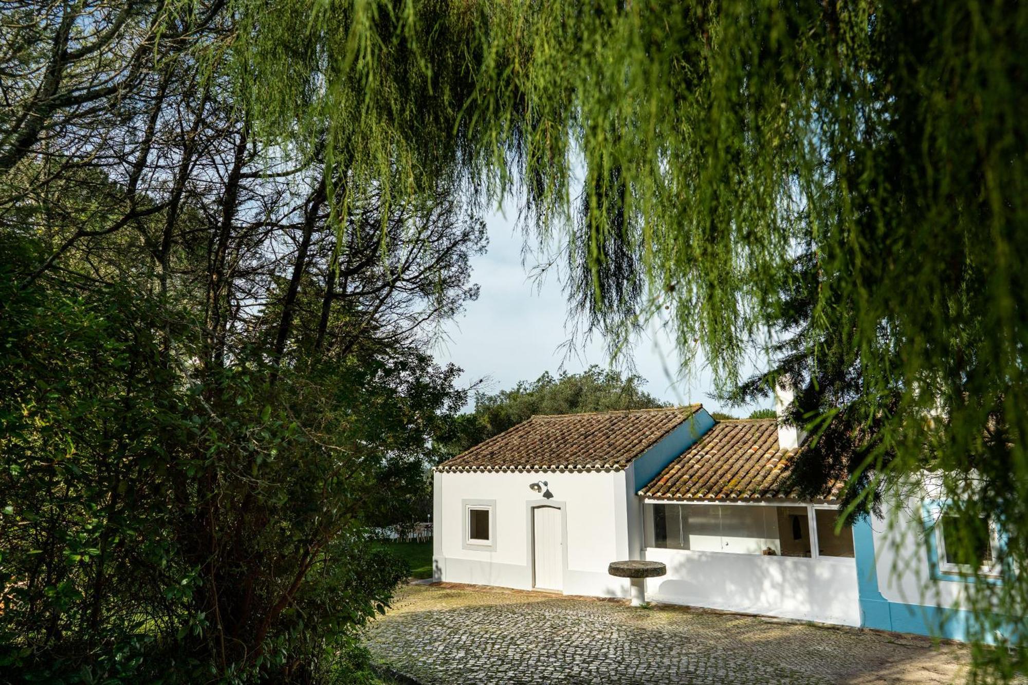 Quinta Da Arrabida Villa Sesimbra Oda fotoğraf